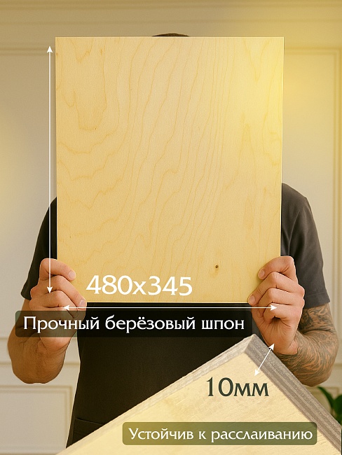 Фанера Промышленник 485х345х10мм, береза, упаковка 1 шт фото 2