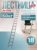 Лестница односекционная Ал 5118