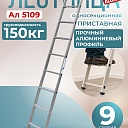 Лестница односекционная Alumet Ал 5109 фото 1