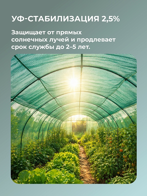 /upload/resize_cache/iblock/7cf/800_800_0/2yde5g1nwkcff1ieica3mzaoqjevq47w.jpg