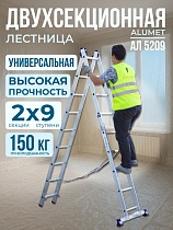 Лестница двухсекционная Ал 5209 Купить Лестница двухсекционная Ал 5209